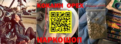 эйфоретик Кимры