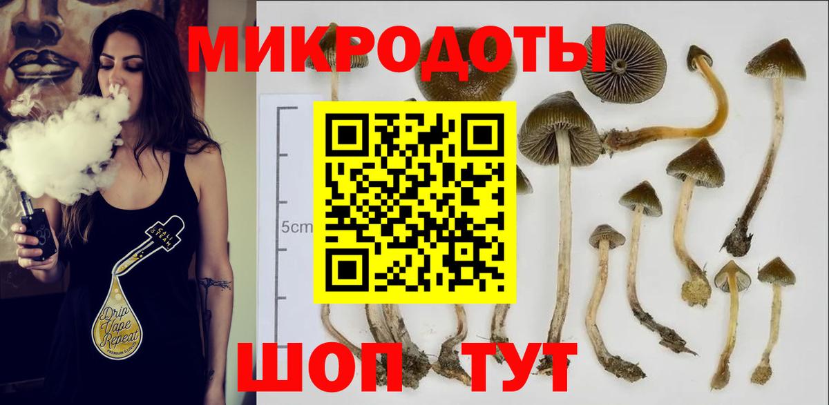 Псилоцибиновые грибы мицелий Лабытнанги