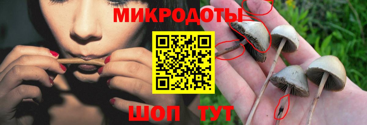 где найти наркотики  Псилоцибиновые грибы MAGIC MUSHROOMS  Вход с VPN  Лабытнанги 